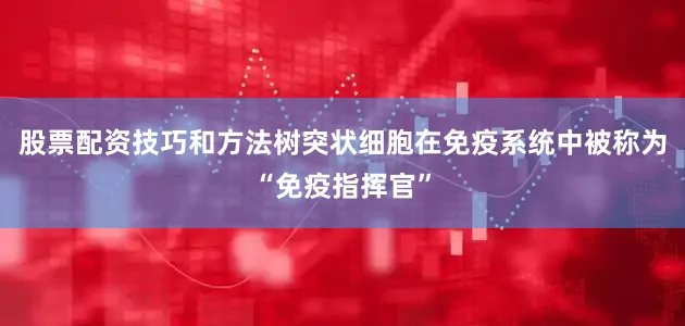 股票配资技巧和方法树突状细胞在免疫系统中被称为“免疫指挥官”