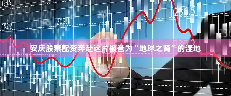安庆股票配资奔赴这片被誉为“地球之肾”的湿地